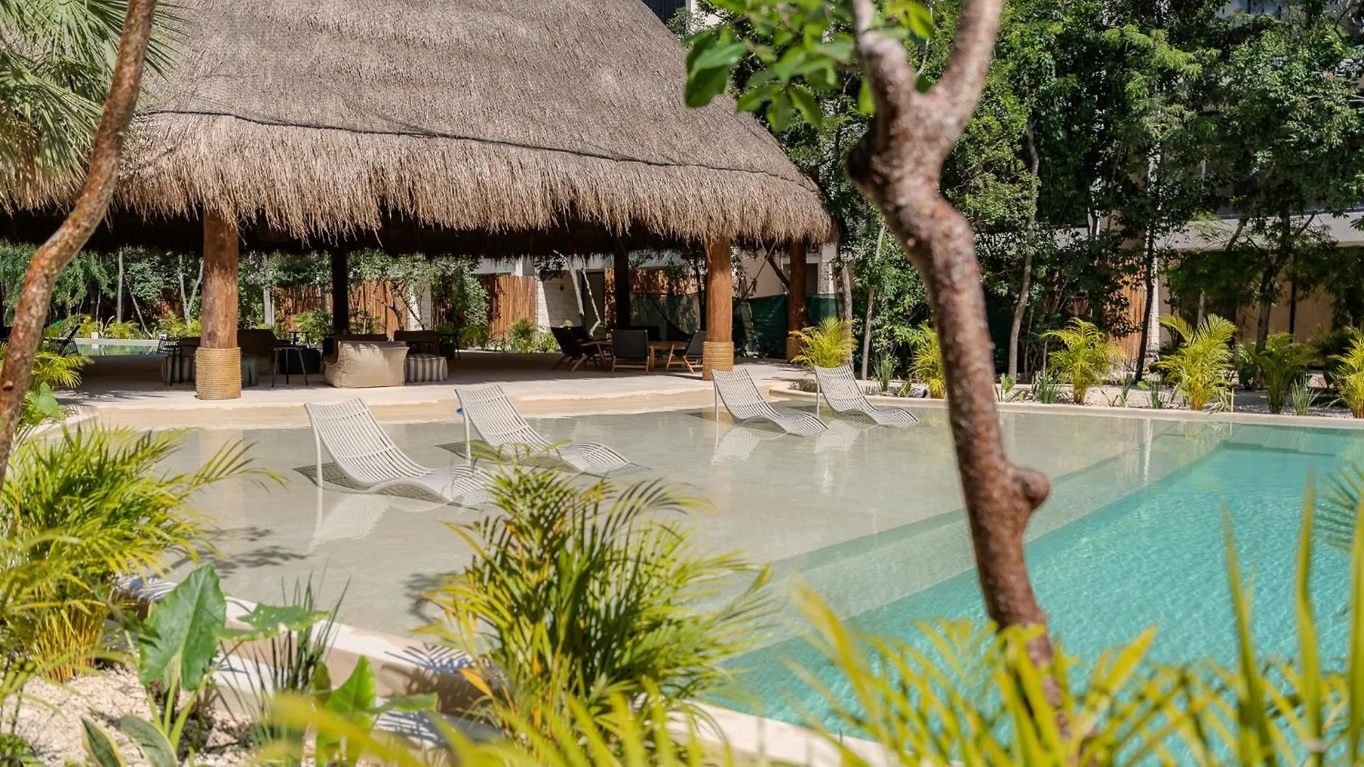 Luxury Jungle Condos By Casago