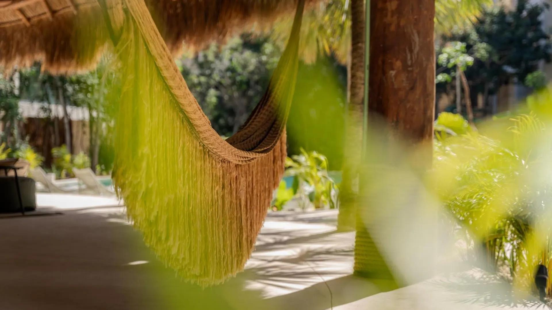 Luxury Jungle Condos By Casago Appartamento