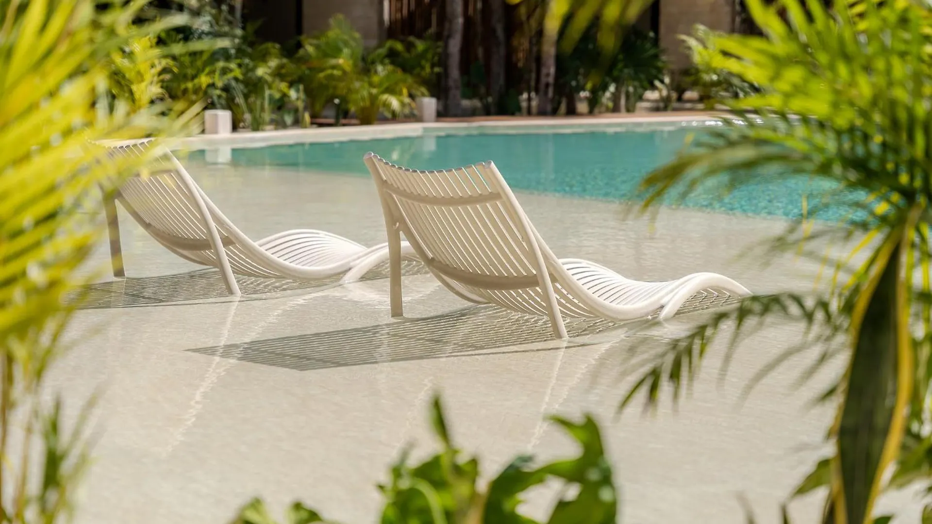 Apartment Luxury Jungle Condos By Casago
