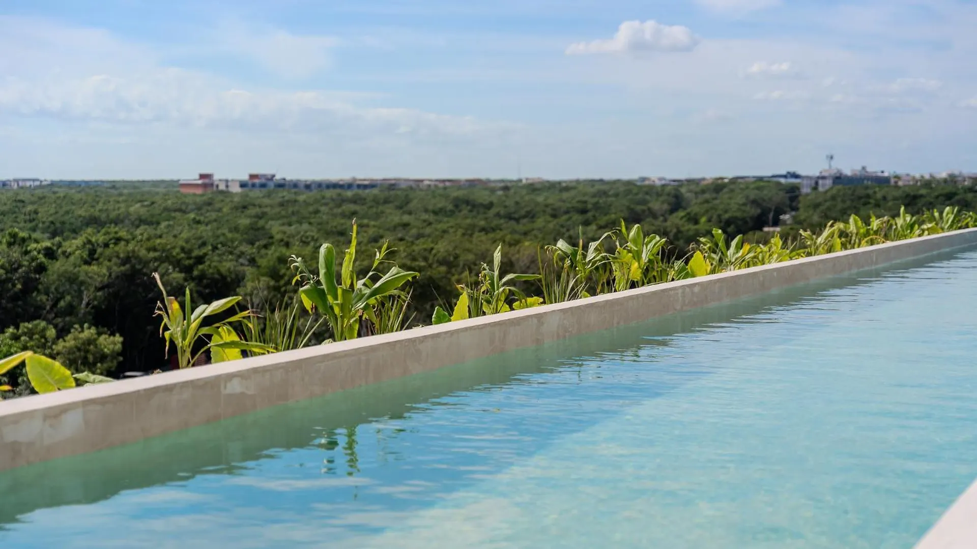 Luxury Jungle Condos By Casago Mexico